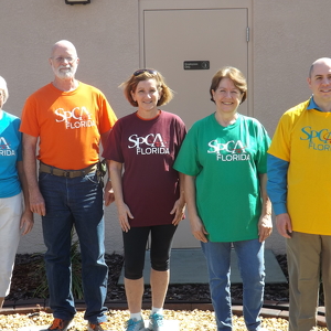 Team Page: Go Volunteers!